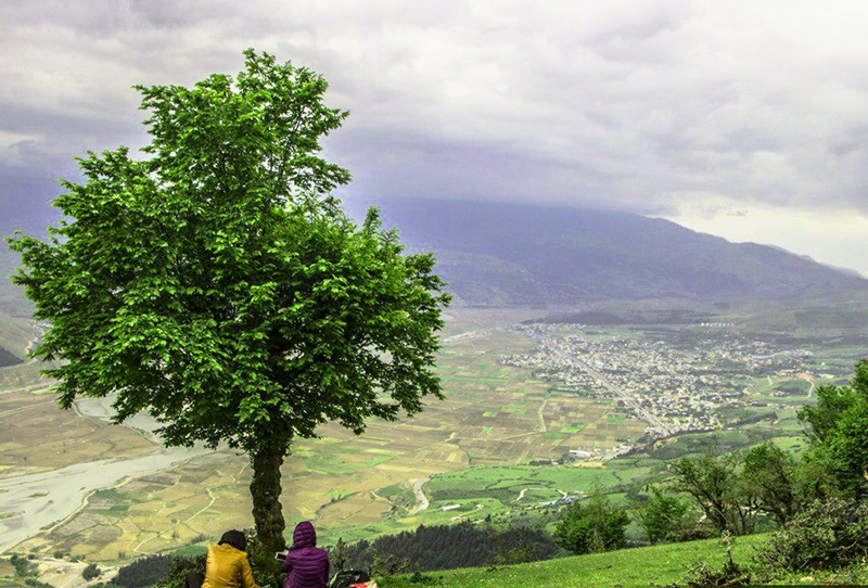 روستای نقله بر، جنگل نقله بر گیلان، نقله بر رستم آباد شمالی، جنگل نقله بر رستم آباد شمالی